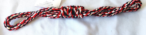 Multicolor Braided Dog Toy