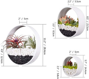 Set of 3 Brand New ECOSIDES White Round Metal & Glass Indoor Wall Succulent Hanging Planters