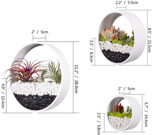 round wall succulent planter Set of 3 Brand New ECOSIDES White Round Metal & Glass Indoor Wall Succ – The DARRling Garage
