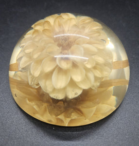 Vintage Lucite Dome Chrysanthemum Flower Paperweight