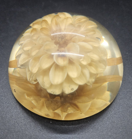 Vintage Lucite Dome Chrysanthemum Flower Paperweight