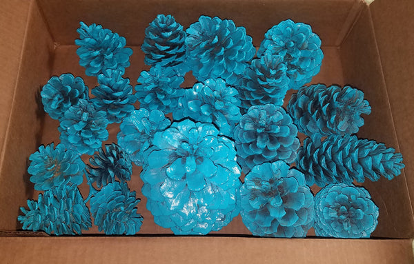 Seafoam Blue 18 Count Christmas Holiday Pine Cones