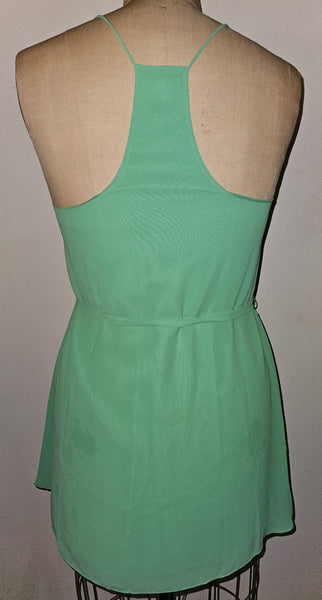 Large NAKED ZEBRA Green Sundress