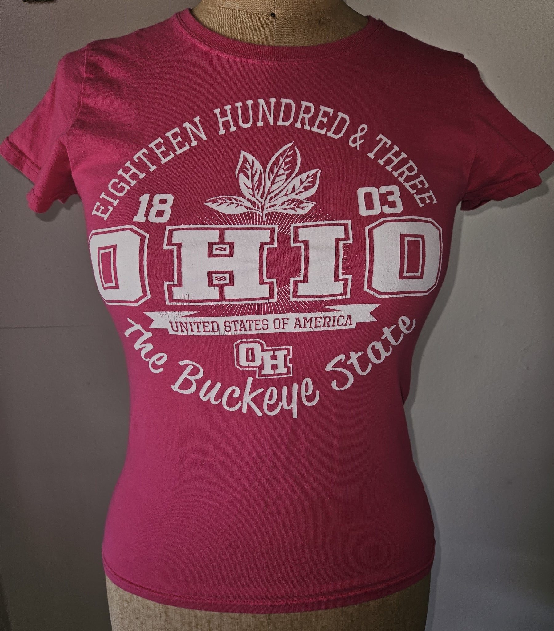 Small GILDAN "Ohio, The Buckeye State" Pink T-Shirt