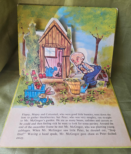 Peter Rabbit My Favorite Pop Up Book Classic Storybook Kids Easter Spring Reading