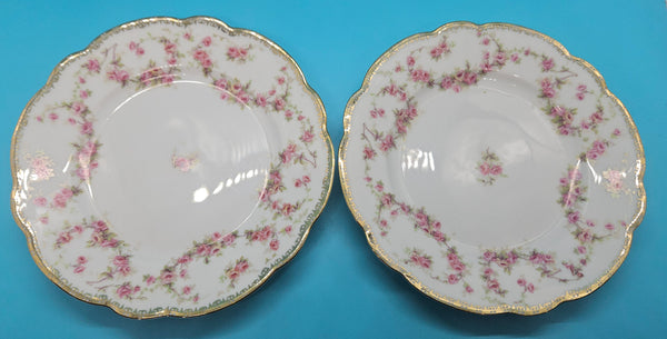 Set of 2 BRIDAL ROSE White, Gold & Floral 6" Plates