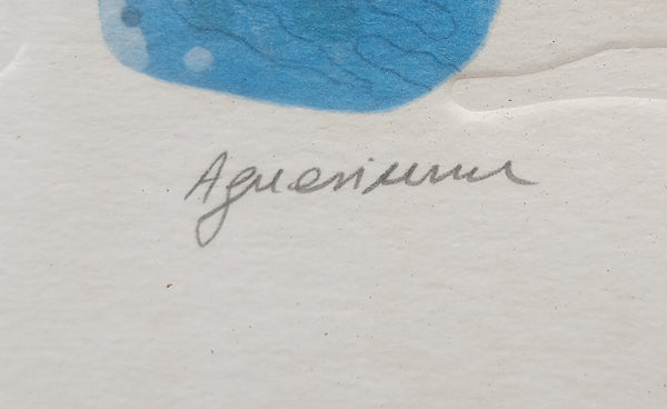 The Aquarium 409/900 Numbered Framed Lithograph By Amram Ebgi