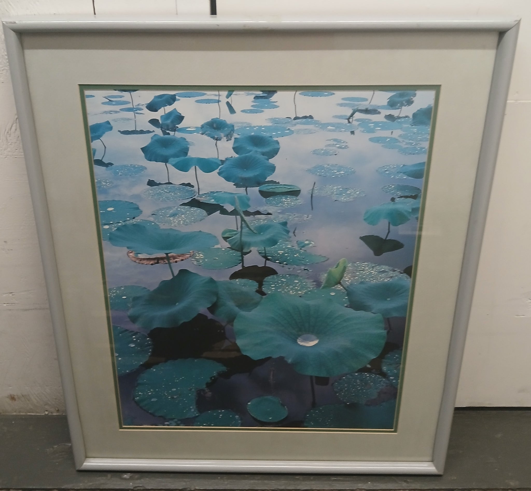 Lily Pad Pond Matted & Framed Picture