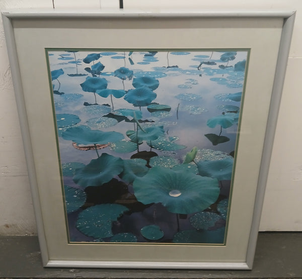 Lily Pad Pond Matted & Framed Picture