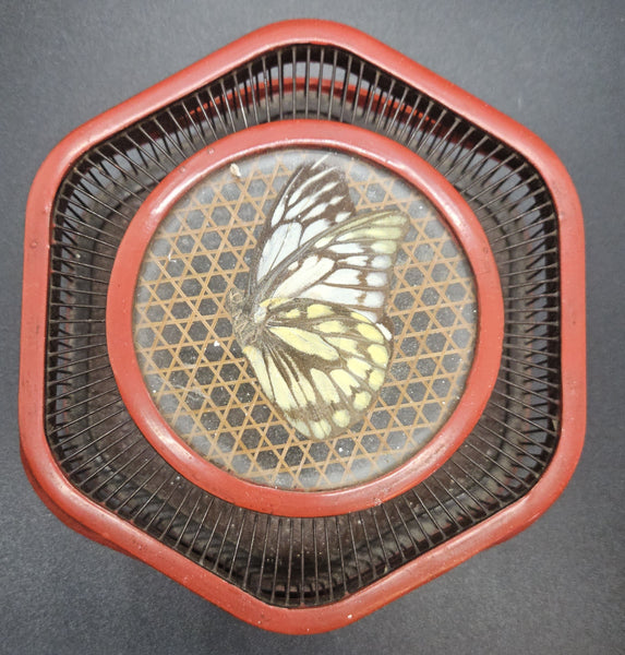 Vintage Bamboo Butterfly Cage Lidded Basket w/ Handle