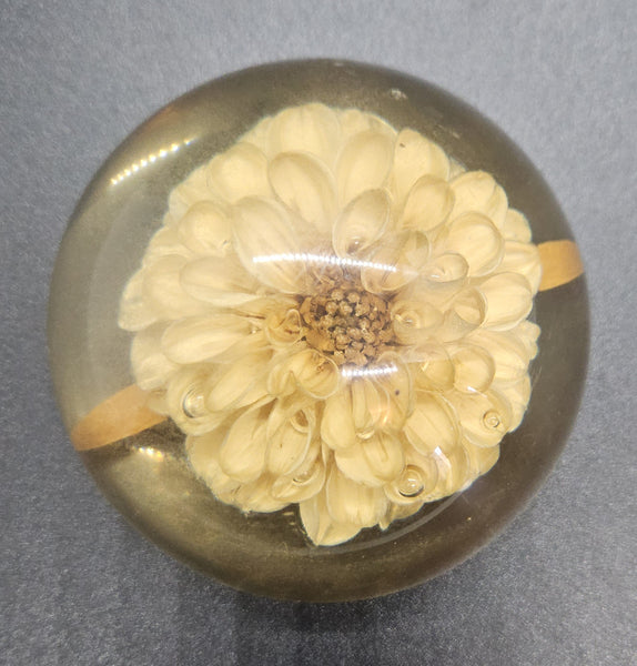 Vintage Lucite Dome Chrysanthemum Flower Paperweight