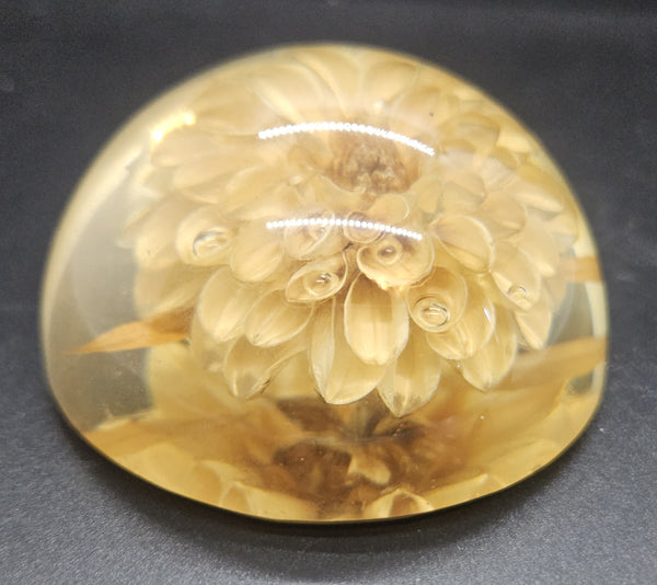 Vintage Lucite Dome Chrysanthemum Flower Paperweight