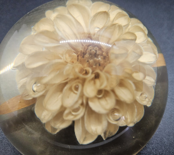 Vintage Lucite Dome Chrysanthemum Flower Paperweight