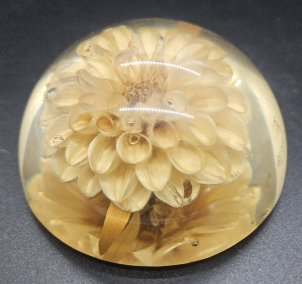 Vintage Lucite Dome Chrysanthemum Flower Paperweight