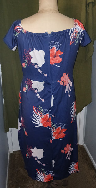 Unbranded 2X Long Blue Floral Dress