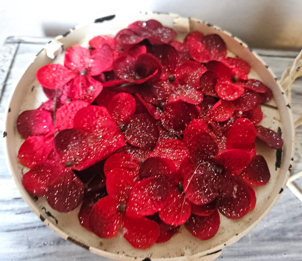 Red & Silver Hanging Ball Ornament Christmas Bird Cage