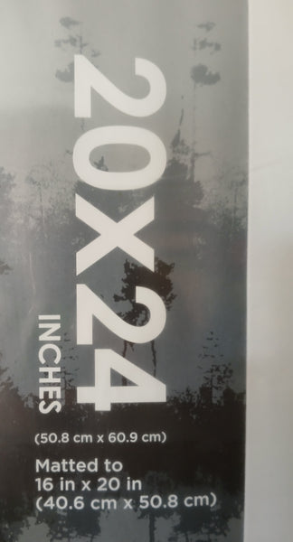 Brand New MCS 20 x 24 Inch Frame for Posters Photos Prints Home Office Display