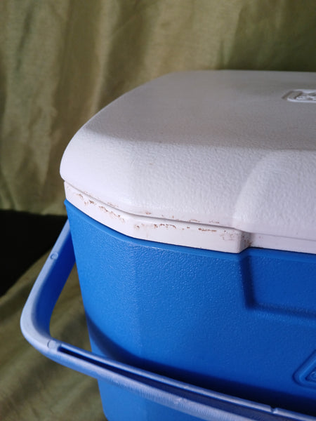 COLEMAN Blue Personal Carrying Cooler