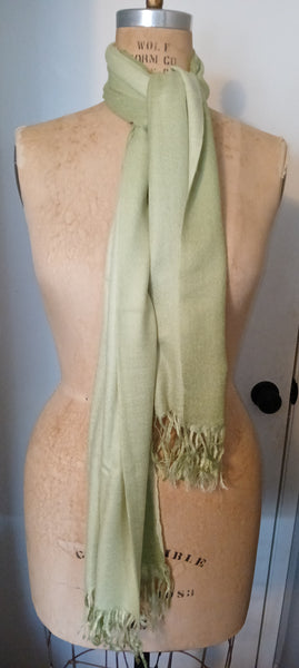 PASHMINA  27" x 66" Sage Green Scarf