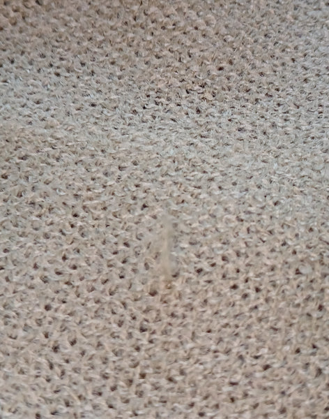 PASHMINA  27" x 66" Sage Green Scarf