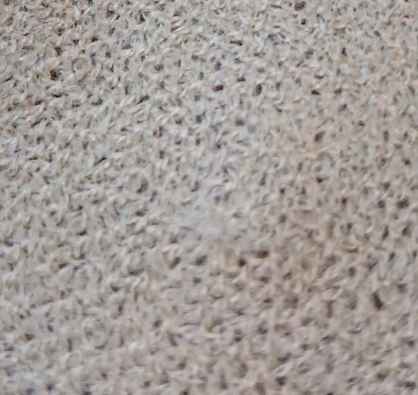 PASHMINA  27" x 66" Sage Green Scarf
