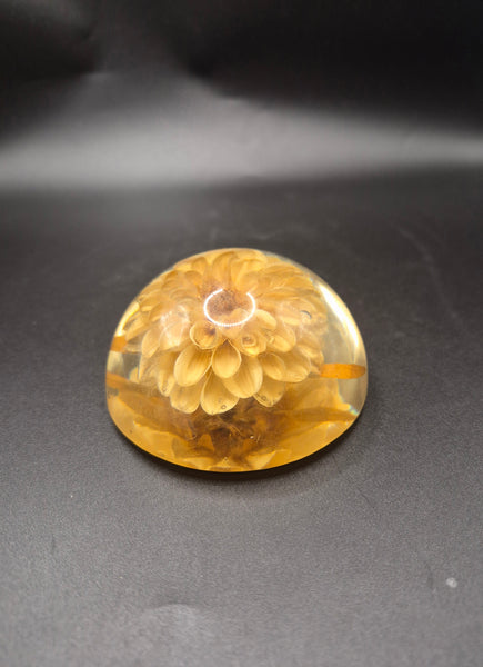 Vintage Clear Amber Resin Preserved Dried Yellow Flower Paperweight Desk Decor