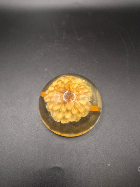 Vintage Clear Amber Resin Preserved Dried Yellow Flower Paperweight Desk Decor