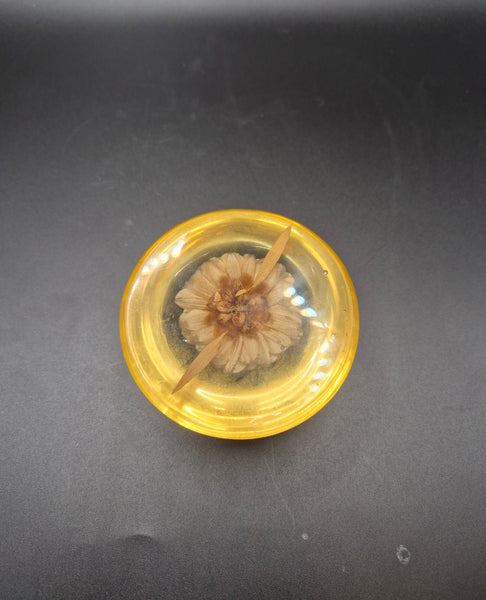 Vintage Clear Amber Resin Preserved Dried Yellow Flower Paperweight Desk Decor