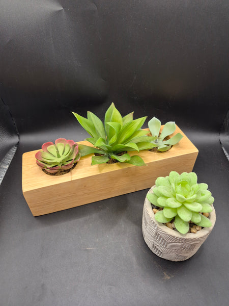 Set of 2 Artificial Decorative Succulent Plants (Four plants total)