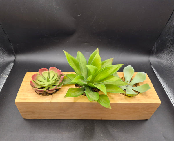 Set of 2 Artificial Decorative Succulent Plants (Four plants total)