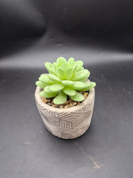 Set of 2 Artificial Decorative Succulent Plants (Four plants total)