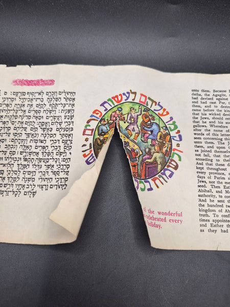Rare Vintage 1972 Megillat Esther Scroll Jewish Purim Hebrew Collectible Unique