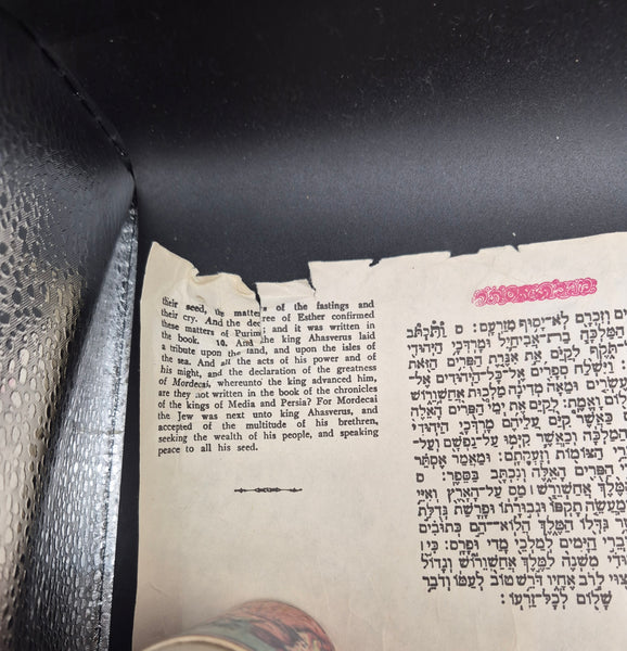 Rare Vintage 1972 Megillat Esther Scroll Jewish Purim Hebrew Collectible Unique