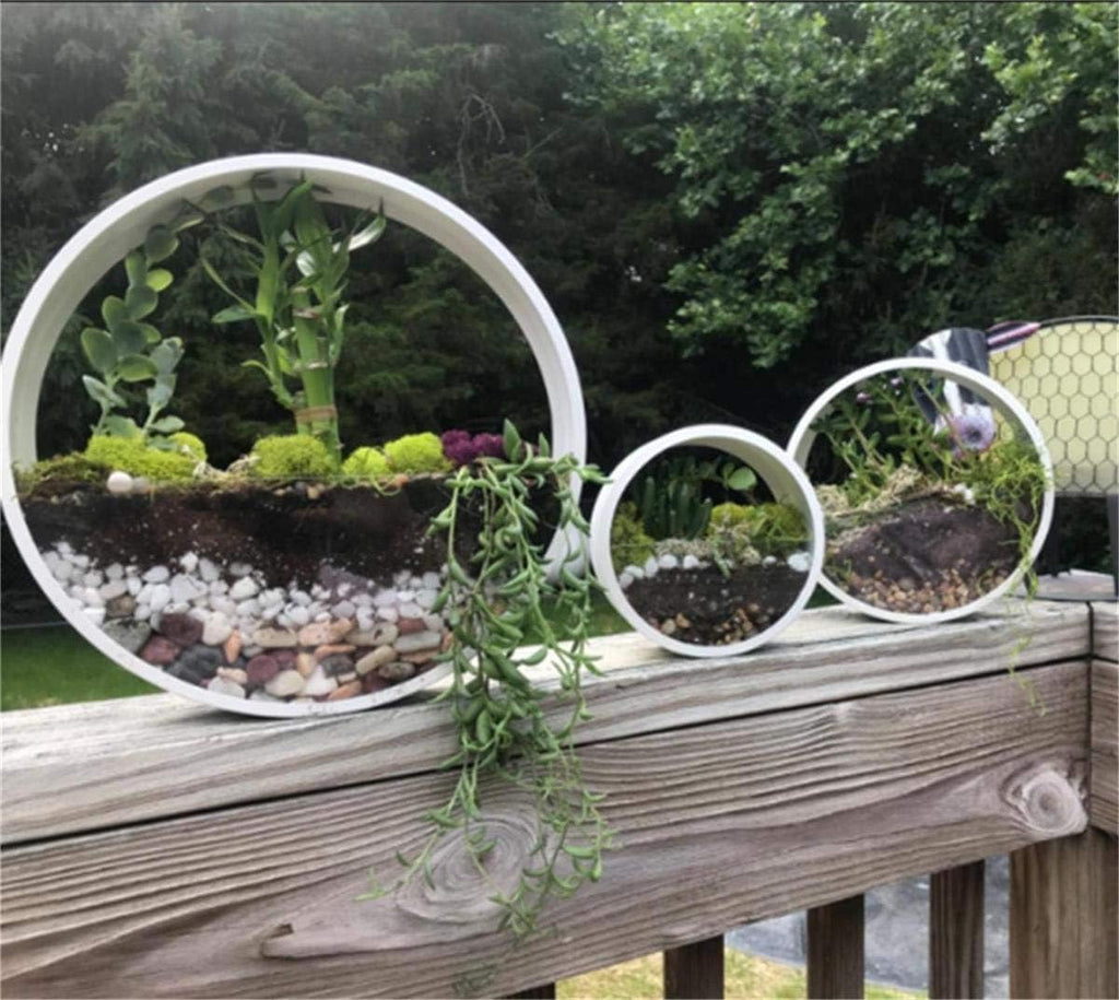 round succulent wall planter Set of 3 Brand New ECOSIDES White Round Metal & Glass Indoor Wall Succ – The DARRling Garage