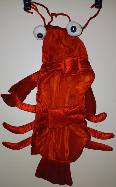 TUCKER & ACE Medium Red Lobster Dog Costume