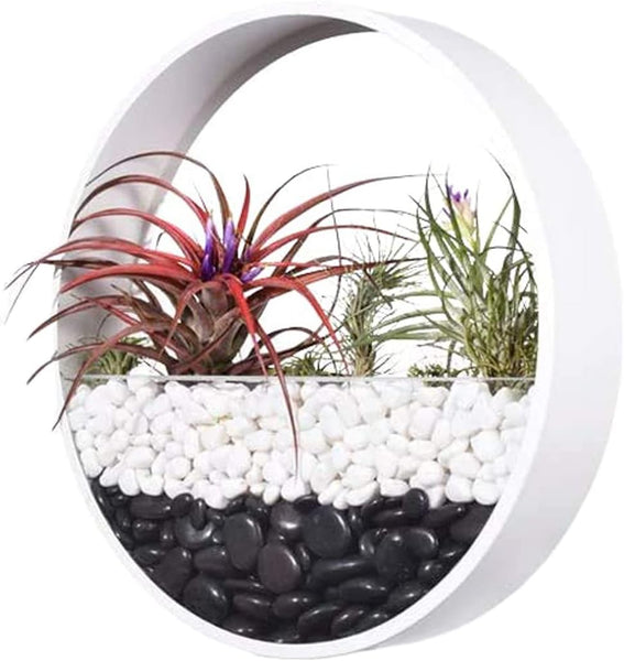 Set of 3 Brand New ECOSIDES White Round Metal & Glass Indoor Wall Succulent Hanging Planters