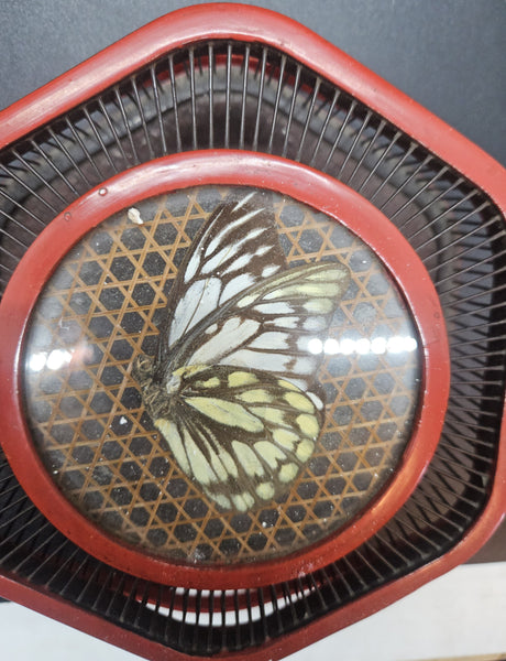 Vintage Bamboo Butterfly Cage Lidded Basket w/ Handle