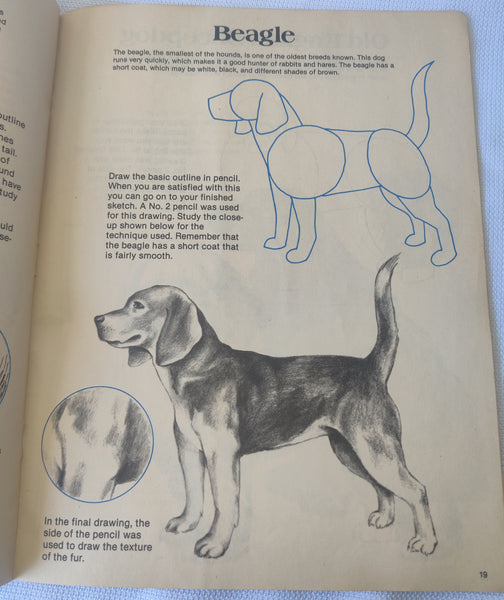 "How To Draw Dogs" Book By Carrie Synder