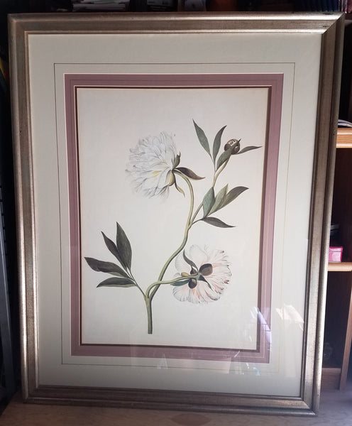 Vintage Soicher Marin Robinsons-May P-3297B Matted & Framed White Poppy Art Picture
