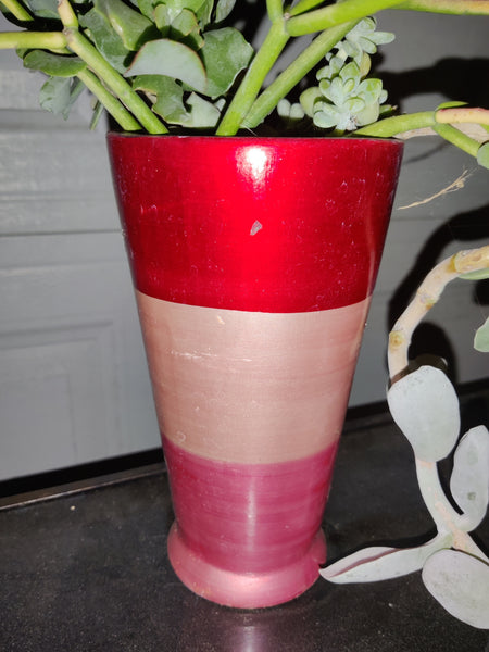 Multi Succulent Plants in Pink & Red Striped Tall Vase